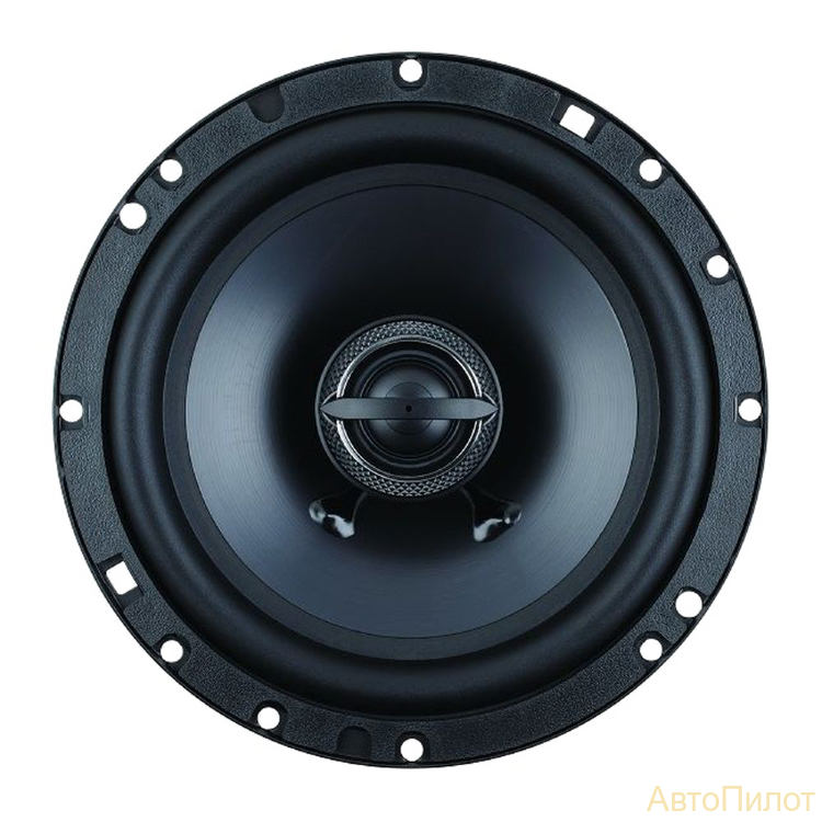 Динамики Skylor R6 Coax